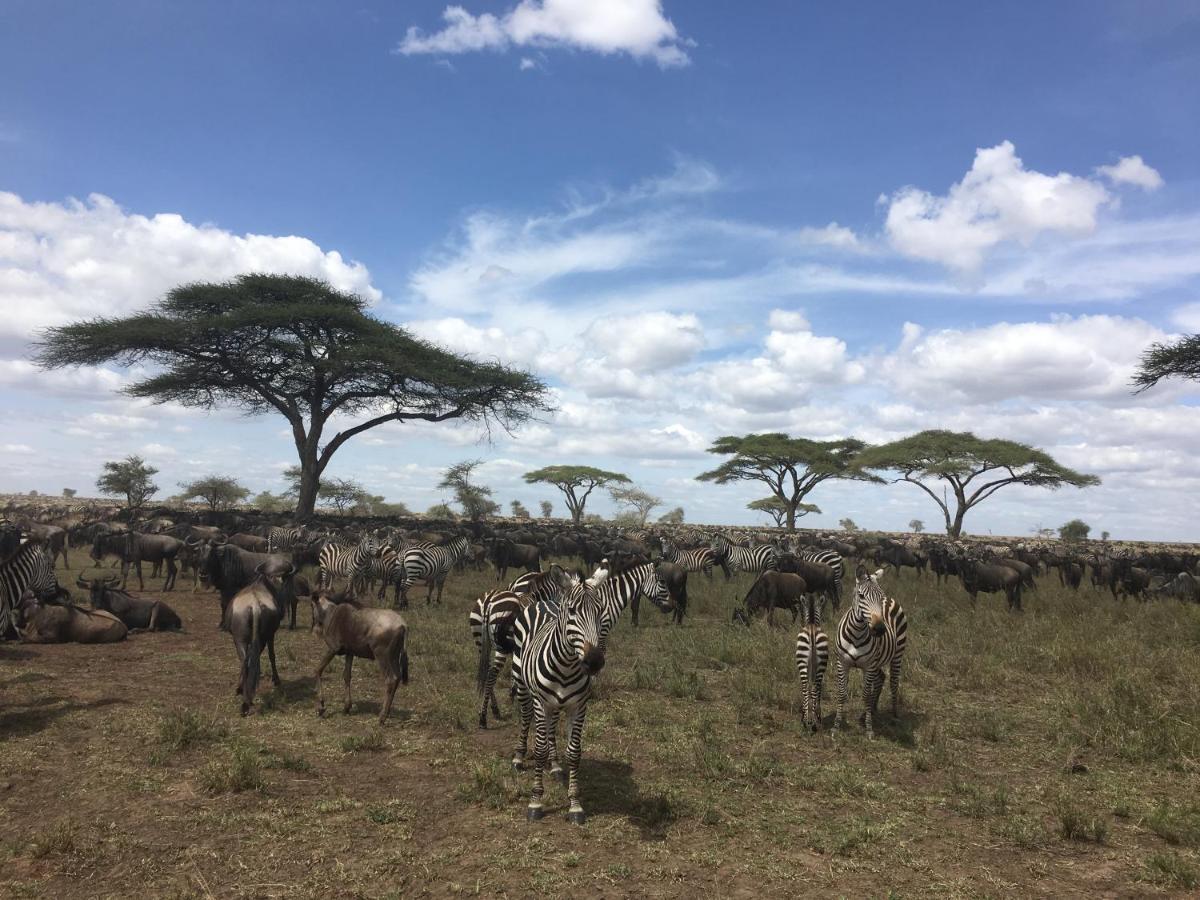 Zawadi Camp Hotel Serengeti Exterior photo