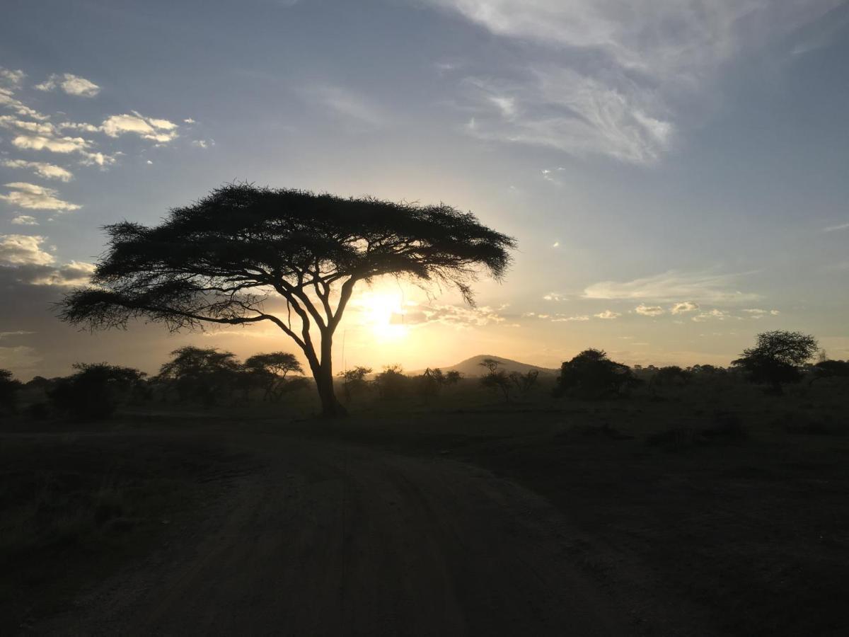 Zawadi Camp Hotel Serengeti Exterior photo