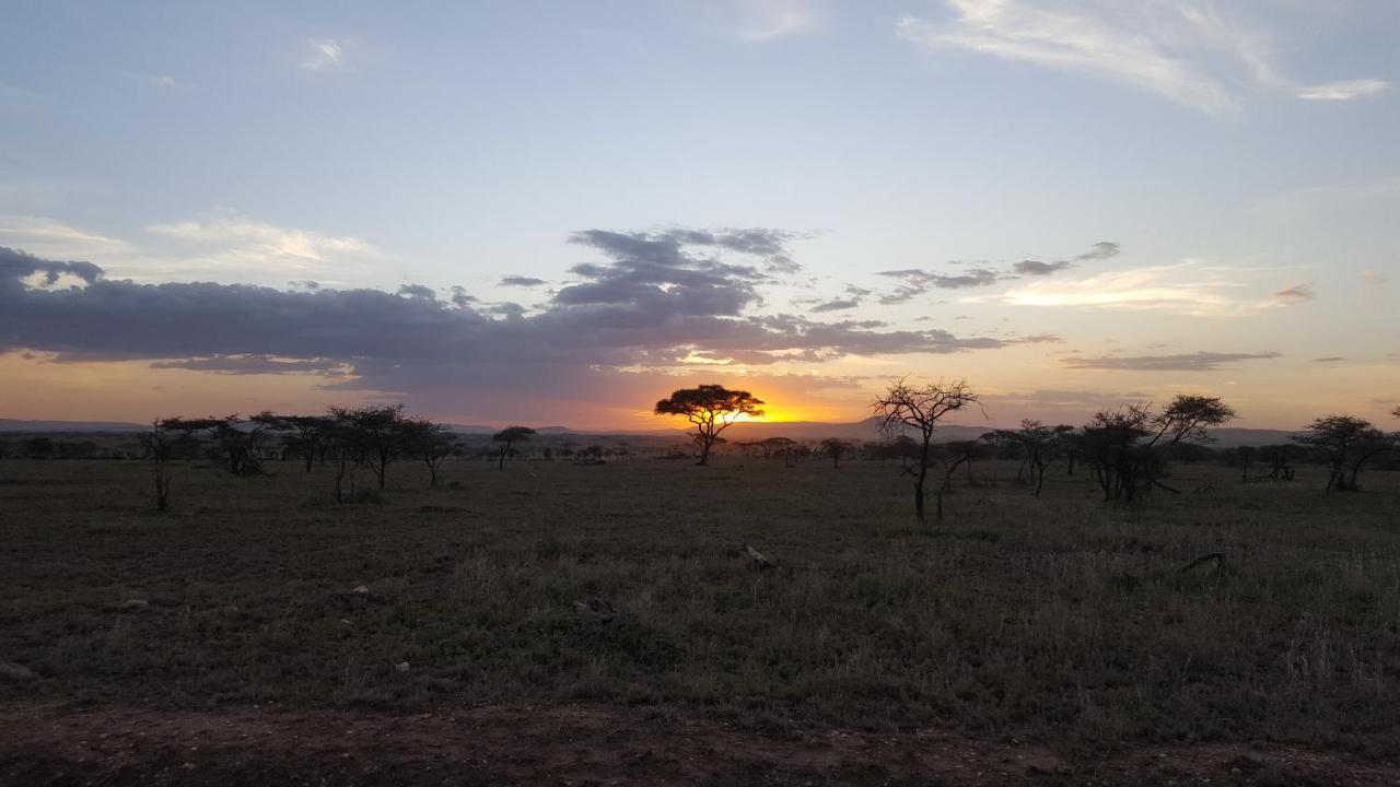 Zawadi Camp Hotel Serengeti Exterior photo